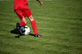 乐鱼体育下载app官网-篮球运动员训练负荷智能监控系统研发及应用，基础阶段篮球训练负荷安排